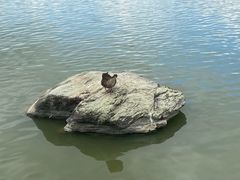 -海珠湖公园