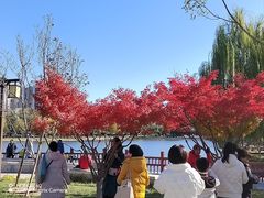-西海子公园