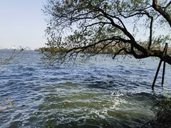 -浙江西子宾馆·瑶园咖啡厅