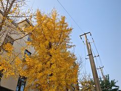 -如家酒店·neo(苏州拙政园狮子林店)