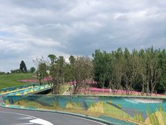 -白鹭湾湿地公园