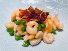 -西郊5号·Maggie 5