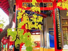 -哈尔滨极乐寺
