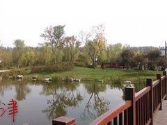 -武清南湖绿博园