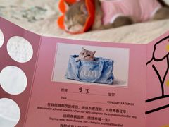 -美联众合动物医院·24h转诊中心