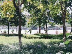-广东金融学院(校本部)