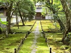 -西芳寺(苔寺)