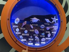 -海合安青岛极地海洋公园