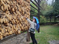 -丽江玉水寨
