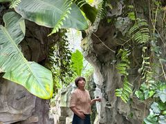 -国家植物园南园