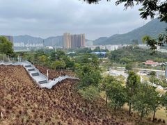 -白石龙音乐公园