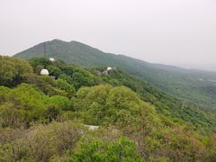 -紫金山天文台