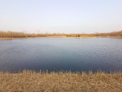 -东郊湿地公园