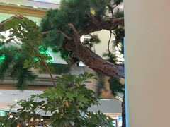 -桂满陇·蟹黄小笼汤包(中山公园店)