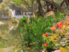 -人民公园(罗湖区)