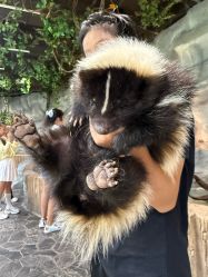 -Zoolung Zoolung动物主题公园(海信广场店)