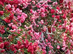 -国家植物园南园