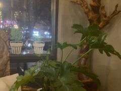 -Africafe(非洲咖啡)