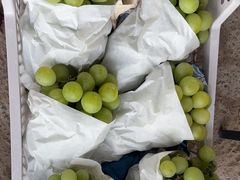 -马陆小张葡萄园农家乐