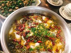 青花椒鱼-陈有良尖椒鸡(渝中旗舰店)