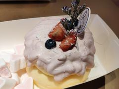 -狐狸和向日葵(北京路店)