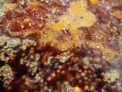 -星鸿社重庆老火锅(燃灯寺分店)