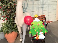 -COACH蔻驰(赛特奥特莱斯店)