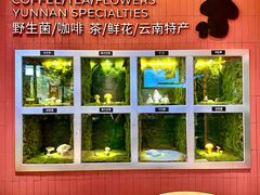 -芸山季·云南野生菌火锅(宝能环球汇店)