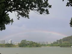 -顺峰山公园