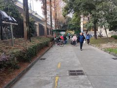 -浙江工业大学（朝晖校区）-游泳馆