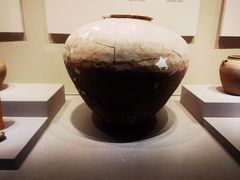-中国江南水乡文化博物馆