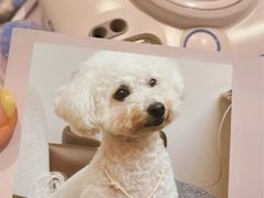 -Line 咖啡(石厦花园店)