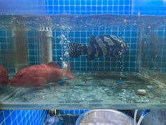 -山海蟹庐·海鲜糟粕醋火锅(慈溪店)