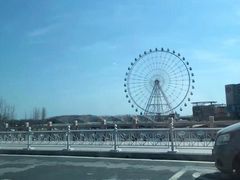 -琴岛之星摩天轮