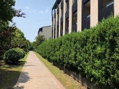 -上海崇明金茂凯悦酒店