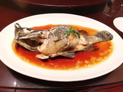 清蒸多宝鱼-新长福(星沙店)