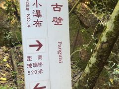 -南丹山森林王国