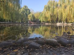 -玲珑塔公园