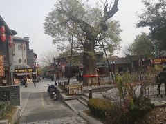 -老槐树煎包