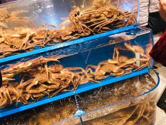 -新世界百货(明洞总店)