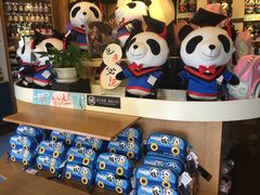 -熊猫屋(宽窄巷子景区店)