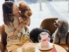 -Oh My Dog宠物沙龙(伊珊娜皮毛护理店)