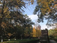 -塔子山公园