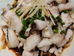 藤椒油浸黑鱼片-小吊梨汤·北京菜·烤鸭(鸟巢店)