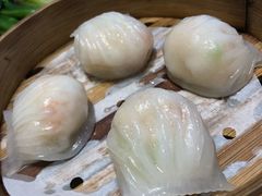 -圣丰盛宴酒家(东城店)