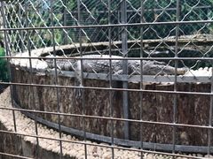 -呀路古热带植物园