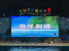 -泉城欧乐堡海洋极地世界