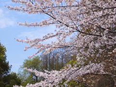 -共青国家森林公园-售票处