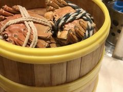 -北京歌华开元大酒店