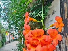 -仓桥直街